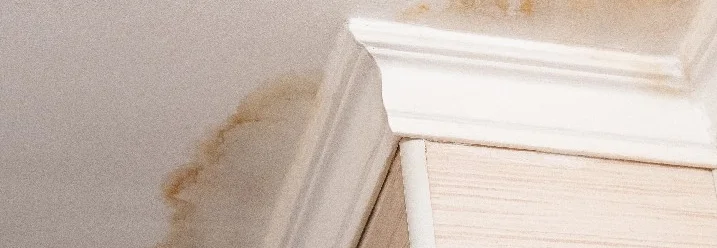 Wasserfleck an Zimmerdecke